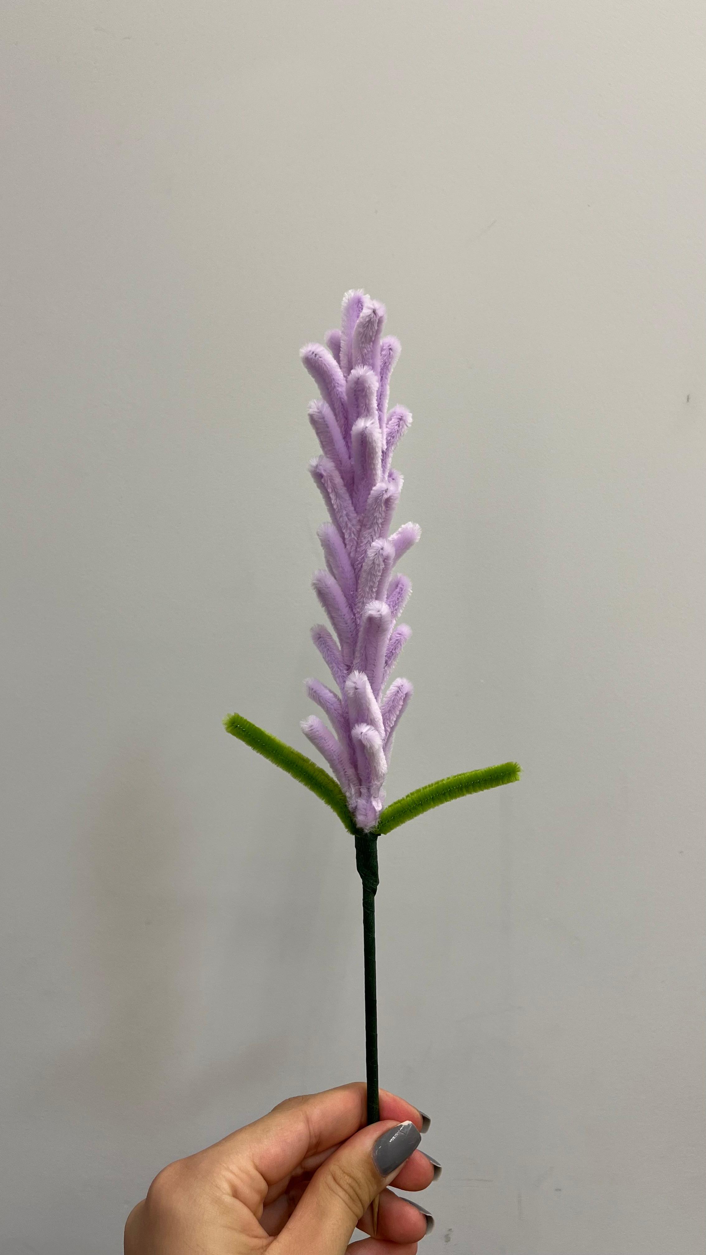 Lavanda G PipeFlorYou